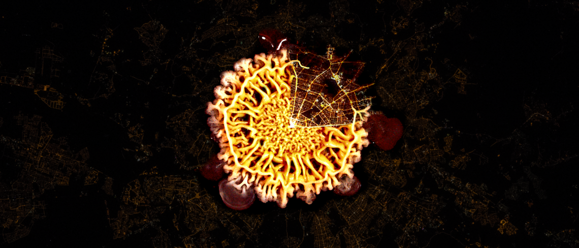 FEMS MICRO