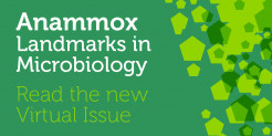Thematic Issue Anammox