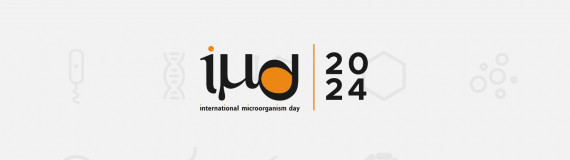 IMD2024 Logo